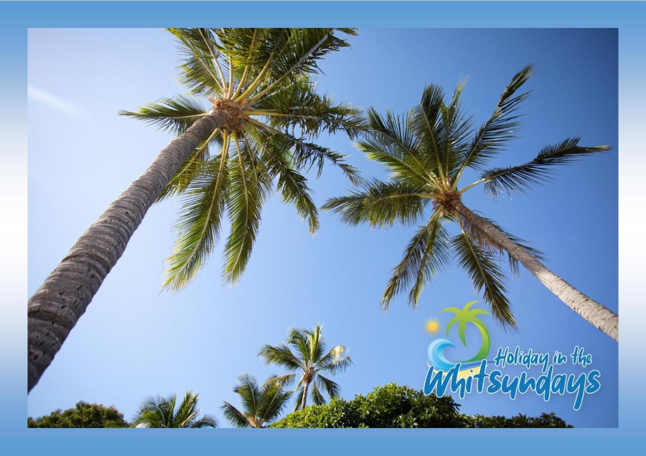 Ocean Views 16 Pool & Spa Wi-Fi Airlie Beach Exteriér fotografie